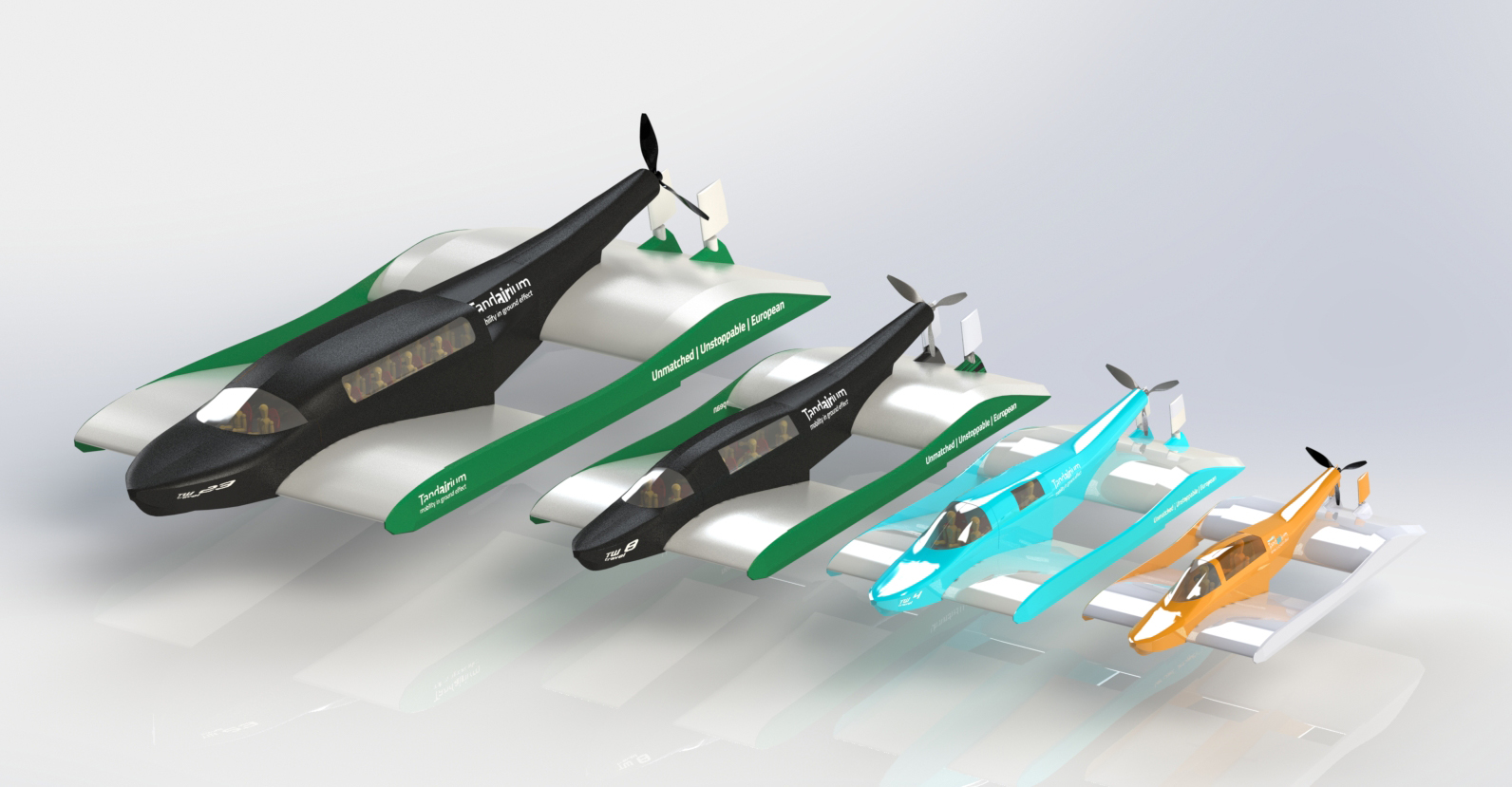 ground effect passenger craft, WIG vehicle, tandem airfoil, maritime mobility, sustainable transport, water taxi, offshore crew transfer, emergency evacuation, made in Europe, Type A wing-in-ground effect